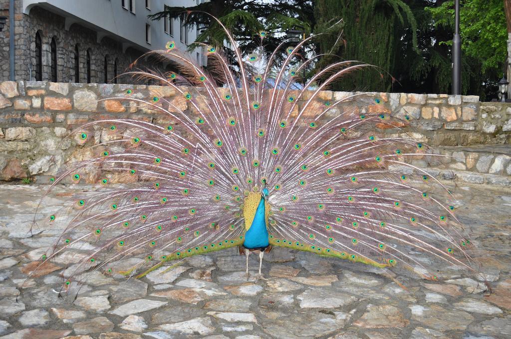 Sadi Apartments Ohri Dış mekan fotoğraf